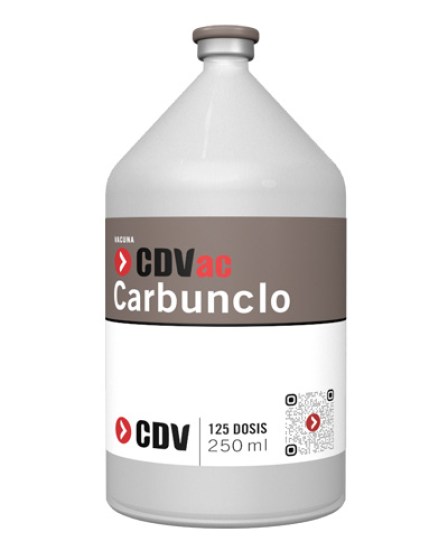 cdvac-carbunclo