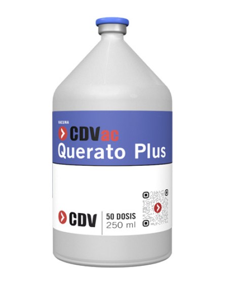 cdvac-querato-plus
